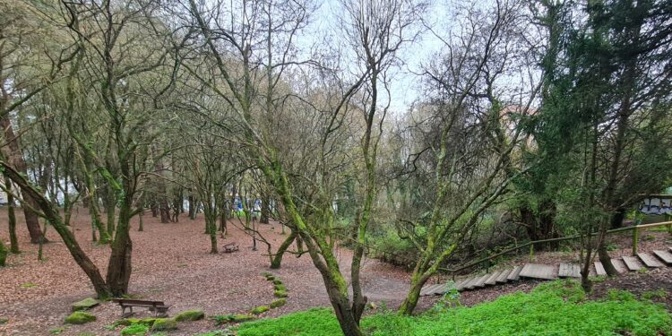 Vigo celebra el Día de los Humedales con actividades familiares y un recorrido por el Lagares y A Bouza