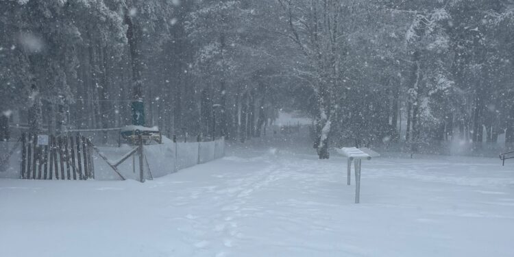 La estación de esquí de Manzaneda abre este viernes sus pistas: “Estamos trabajando duro”