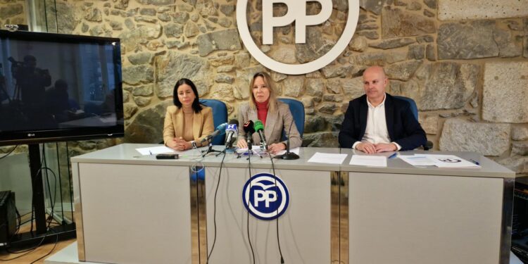 El PP de Vigo pide al Gobierno ayudas por 700 millones para la automoción ante el «riesgo» de deslocalización