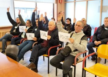 Protesta en el pleno de Vigo: los afectados por el vial de Beade piden intervenir al negárseles una reunión