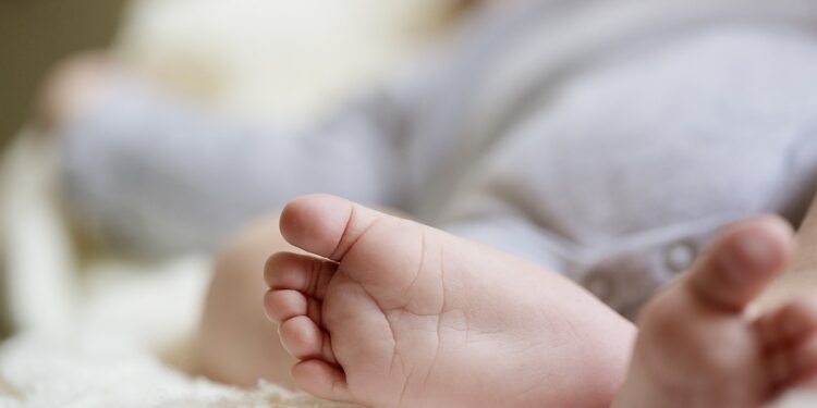 Publicada la convocatoria de la Tarxeta Benvida para 2023: se destinan 31 millones de euros