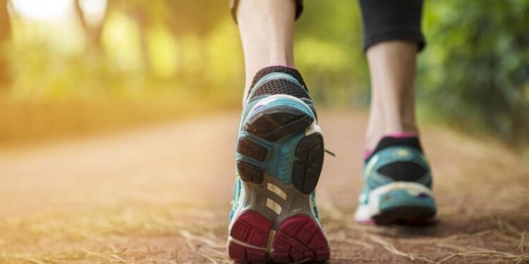 Doce rutas gratuitas (y sencillas) por Vigo y Cangas para recorrer con niños y mascotas