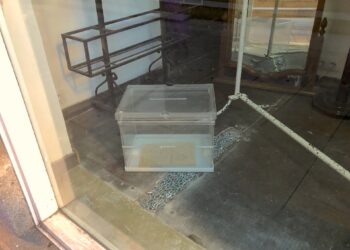 El símbolo de la democracia en venta