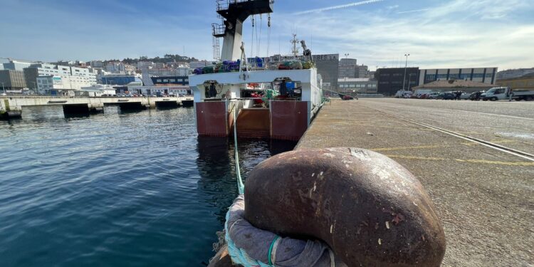 La pesca gallega, en alerta: «Europa nos condena, como con microchips o mascarillas, a depender de terceros países»