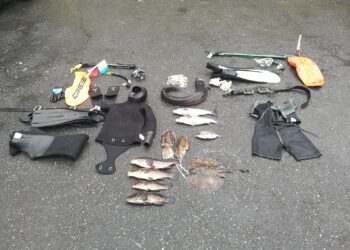 Identificados dos buzos por la captura ilegal de más de 13 kilos de pescado y moluscos en Vigo