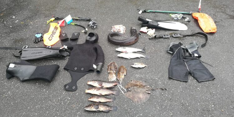 Identificados dos buzos por la captura ilegal de más de 13 kilos de pescado y moluscos en Vigo