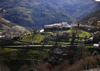 El paso de la carrera O Gran Camiño por Vigo afecta a cinco líneas de Vitrasa
