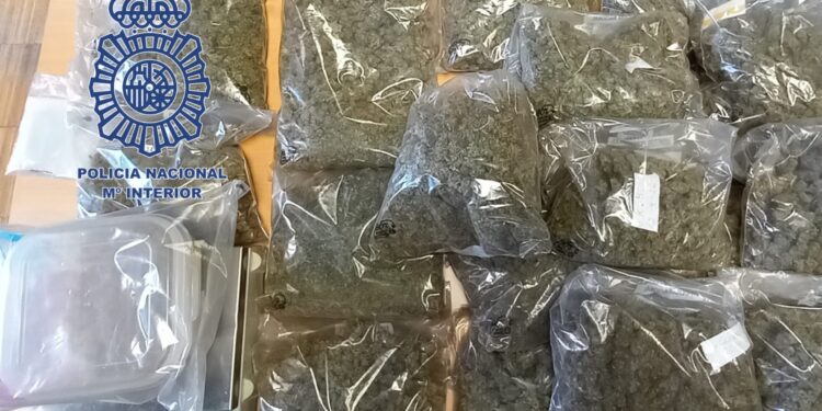 Detenido un vecino de Vigo al que se le intervinieron más de 7 kilos de marihuana y hachís