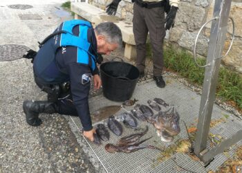 La Policía Local intercepta a otros tres furtivos y les requisa casi 10 kilos de pescado y marisco
