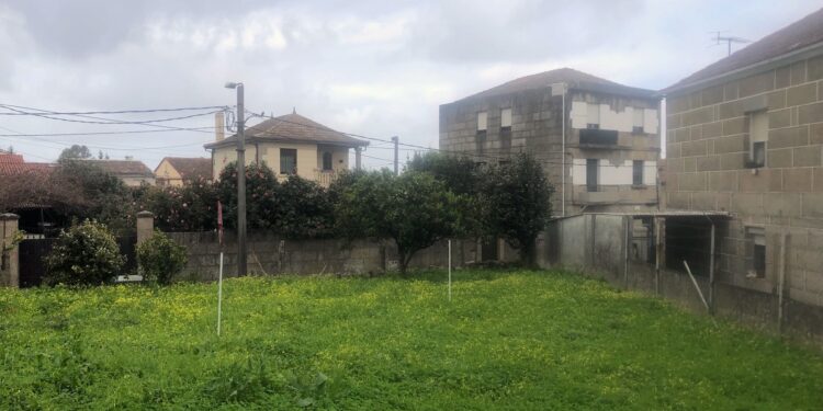 Esta fotografía corresponde a la ciudad de Vigo, pero no se trata de una zona rural, sino de una zona urbana rodeada de calles muy transitadas, una zona próxima a grandes plazas.