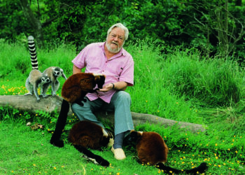 En el zoo de Jersey no aparecen animales muertos