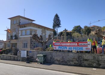 El juzgado declara a la empresa Ganomagoga en concurso de acreedores