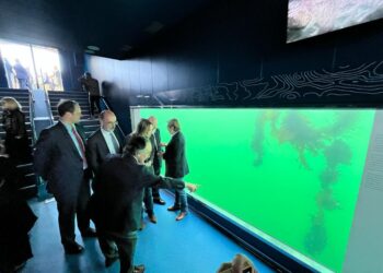 El puerto de Vigo abre el observatorio submarino 'Nautilus', con 19 metros para observar el fondo de la ría