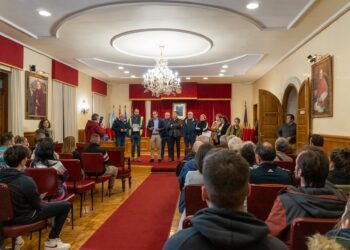 Tui estudia ofrecer ayudas para la compra de un coche a los dueños de los vehículos calcinados