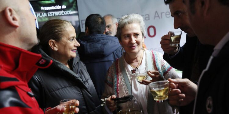 Nace la marca ‘TéAreeiro’ para impulsar la producción y promoción del té verde de camelia