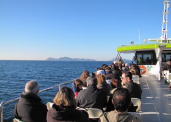 Viaje a Cíes gratis por el Día del Padre: el regalo que hace una naviera para el 19 de marzo