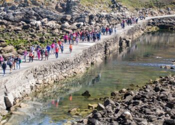 Camiño a Camiño se acerca a la ría de Vigo esta primavera con ocho rutas y dos visitas a Cíes
