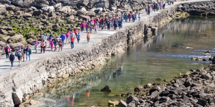 Camiño a Camiño se acerca a la ría de Vigo esta primavera con ocho rutas y dos visitas a Cíes