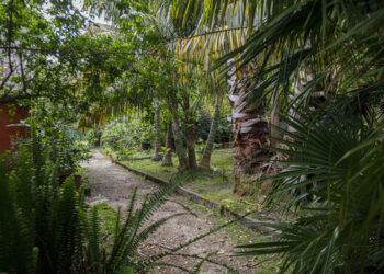 El jardín de Sales florece en Vigo: 20 años como fundación y reservas todo el verano