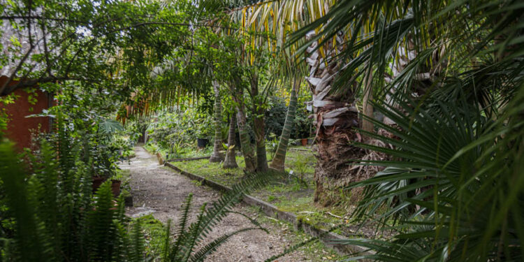 El jardín de Sales florece en Vigo: 20 años como fundación y reservas todo el verano