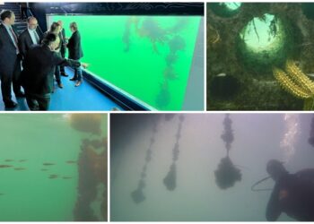 desde mañana Jueves Santo y hasta el domingo 9, podéis visitar el visor submarino #Nautilus de 10 a 13 y de 16 a 20h.