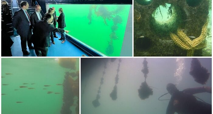 desde mañana Jueves Santo y hasta el domingo 9, podéis visitar el visor submarino #Nautilus de 10 a 13 y de 16 a 20h.