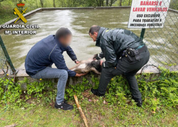La Guardia Civil rescata a un caballo de un depósito de agua en Moaña