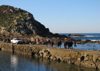 Así será el proceso para apuntarse a los viajes del Concello de Vigo a Cíes, que costarán 8 euros