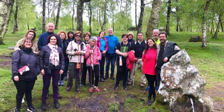 Agotadas en media hora las plazas para  los ‘Bosques terapéuticos’ de la Deputación