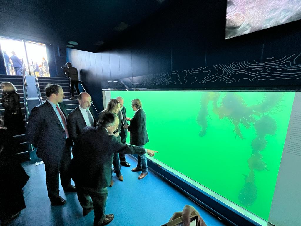 Un plan gratuito para sumergirse en la ría de Vigo: el observador submarino abre en Semana Santa