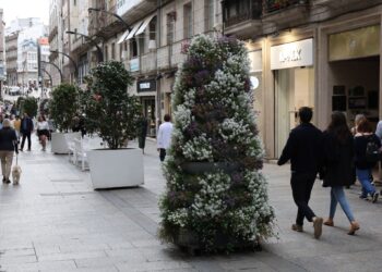 El secreto del dulce aroma que envuelve Príncipe y el Calvario: Vigo huele a «lobularia»