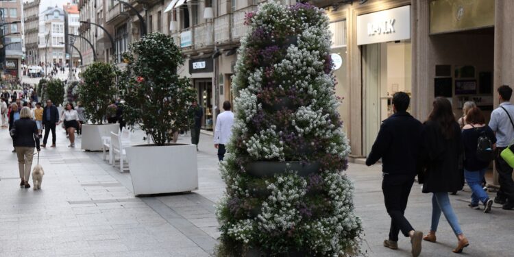 El secreto del dulce aroma que envuelve Príncipe y el Calvario: Vigo huele a «lobularia»