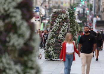 olor a miel calle príncipe flores