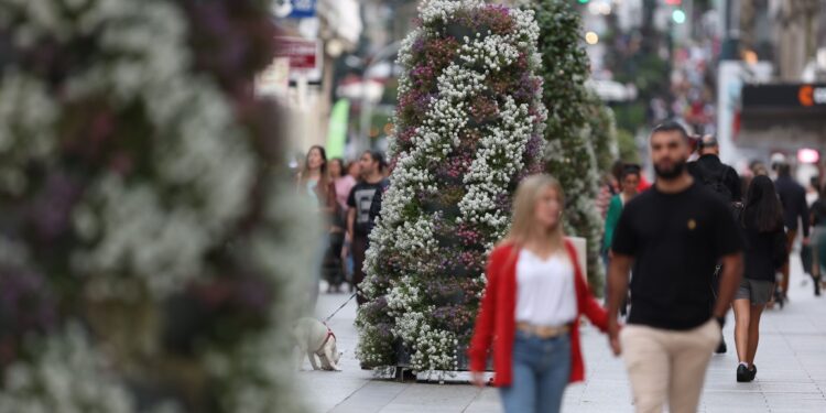 olor a miel calle príncipe flores