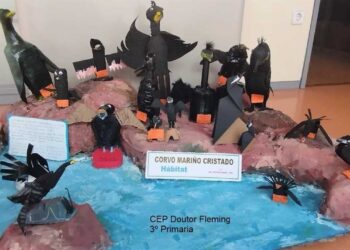 Más de 440 estudiantes de Galicia visitarán el Parque Nacional Illas Atlánticas tras ganar un certamen educativo