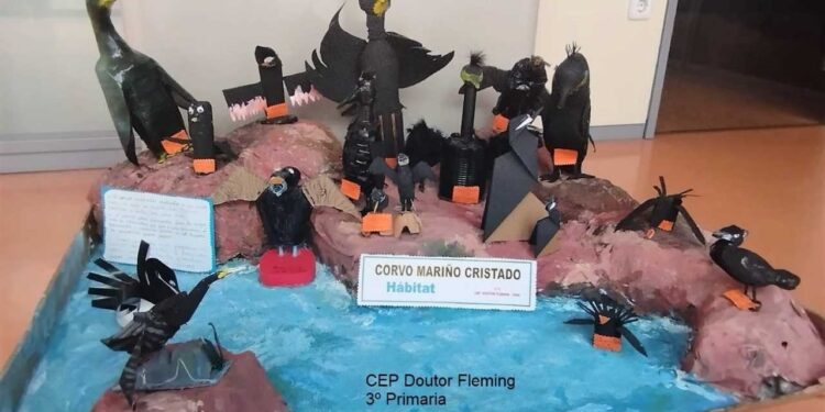 Más de 440 estudiantes de Galicia visitarán el Parque Nacional Illas Atlánticas tras ganar un certamen educativo