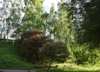 Un roteiro, música e un xantar popular para que o alumnado estranxeiro se achegue á cultura galega