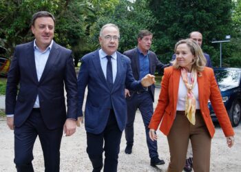 El Gobierno de España lanzará en junio una convocatoria del Perte Vec exclusiva para baterías