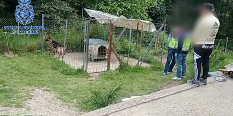 Detienen a los dos sospechosos de atracar una sucursal bancaria en Vigo a mediados de abril
