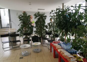 Entrada de cine y un “detalle sorpresa” de regalo por donar sangre en Vigo