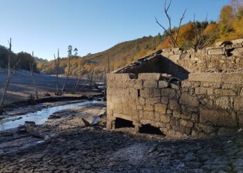 Casi el 80% de los gallegos ve en el precio un obstáculo para hacer consumo más sostenible