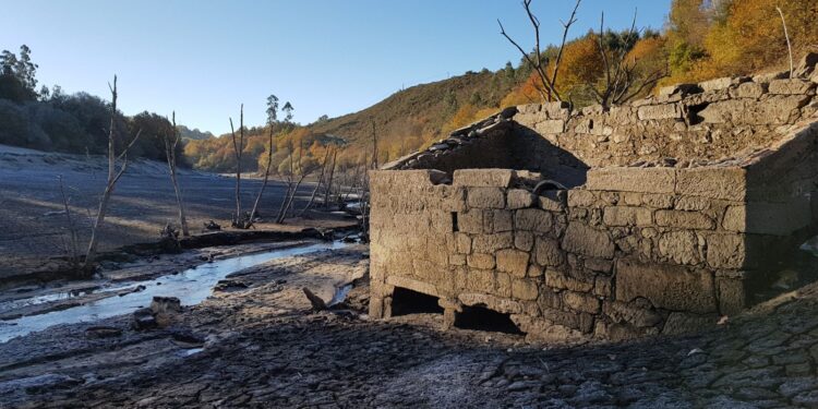 Casi el 80% de los gallegos ve en el precio un obstáculo para hacer consumo más sostenible