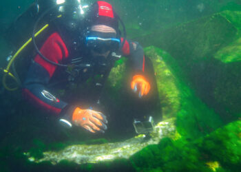 La vida marina florece bajo el visor de A Laxe: la fauna ya habita en las estructuras ECOncrete: “Es sorprendente”