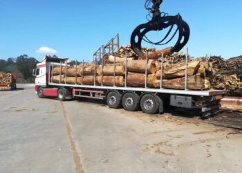 El juzgado decreta la apertura de la liquidación de Maderas Iglesias al incumplirse el calendario de pagos