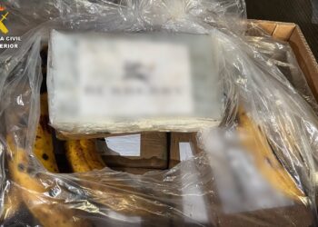 Cae la red que quiso enviar al puerto de Vigo 1,2 toneladas de cocaína ocultas entre bananas
