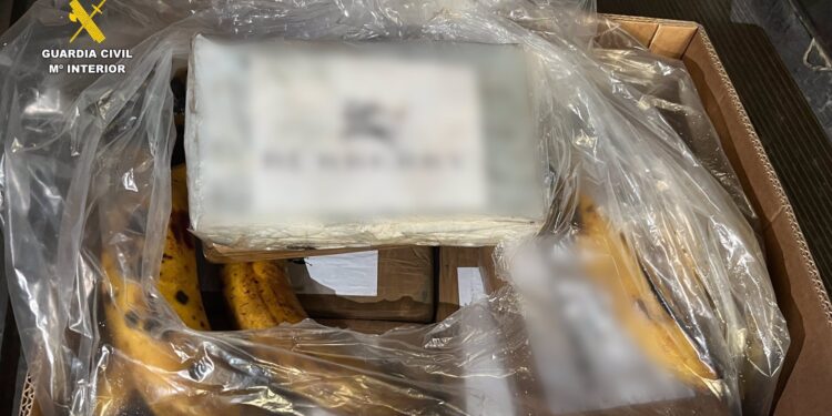Cae la red que quiso enviar al puerto de Vigo 1,2 toneladas de cocaína ocultas entre bananas