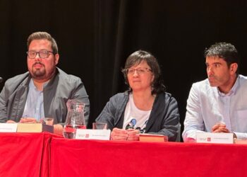 O BNG constitúe o seu grupo municipal en Vigo: portavocía para Xabier P. Igrexas