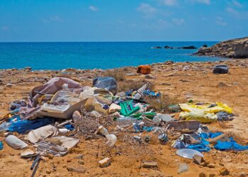 Día Mundial del Medio Ambiente: acción contra la contaminación por plásticos