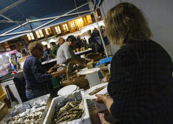 Vigo acogerá 16 sardinadas por San Juan y amplía a 25 el número de hogueras solicitadas