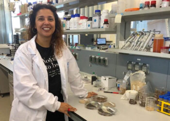 Unha científica do Cintecx utiliza residuos de aceite de oliva para depurar fármacos das augas residuais